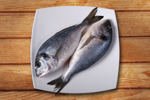 Seafood by Adam Noble