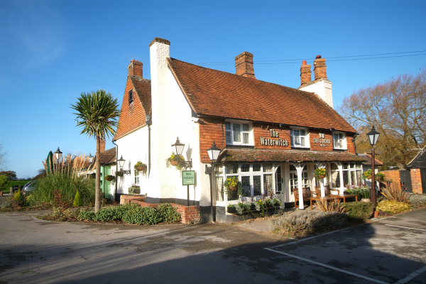 Waterwitch, Hook - Chef & Brewer